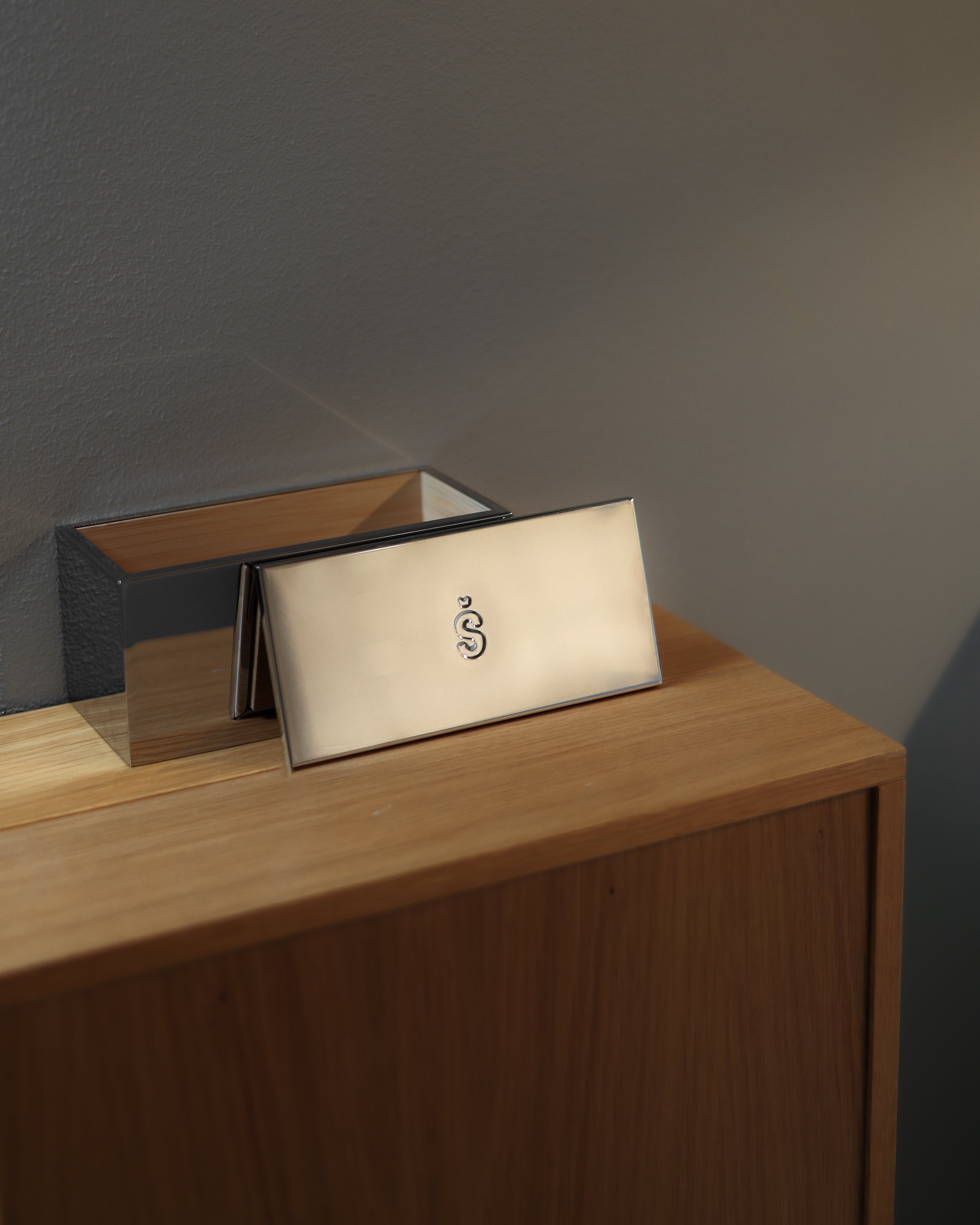 Capsule Case - Steel image
